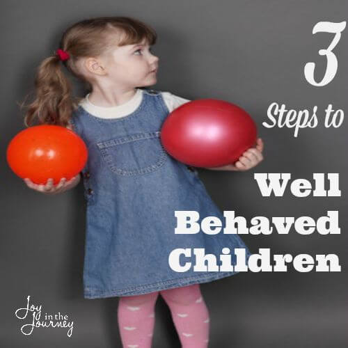 Three Steps to Well Behaved Children