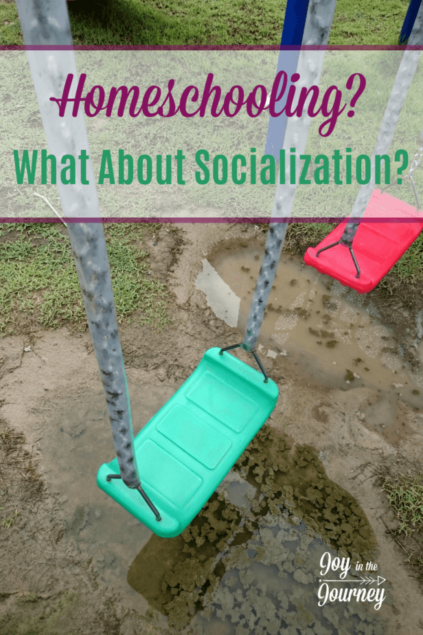 I Can’t Homeschool Because My Kids Need Socialization... really? Homeschool kids ARE socialized. If anything, we are too social because we try to make up for the perceived “lack” of socialization.