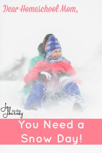 As a homeschool mom who has been at this for while, I am beginning to see the case for snow days. And, I encourage you to consider a few of these possibilities yourself when the white stuff hits your neighborhood.