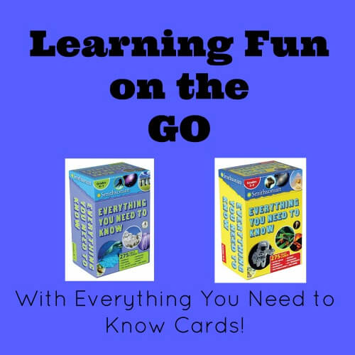 Learning fun on the go
