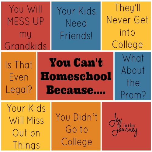 You Can't Homeschool