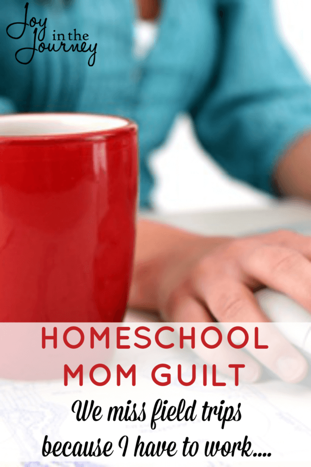 Homeschool mom guilt. We all deal with it right? As a working homeschool mom, I deal with homeschool mom guilt. And then, I realized something. We all have struggles and trials and reasons that we miss field trips. None of them justify homeschool mom guilt.