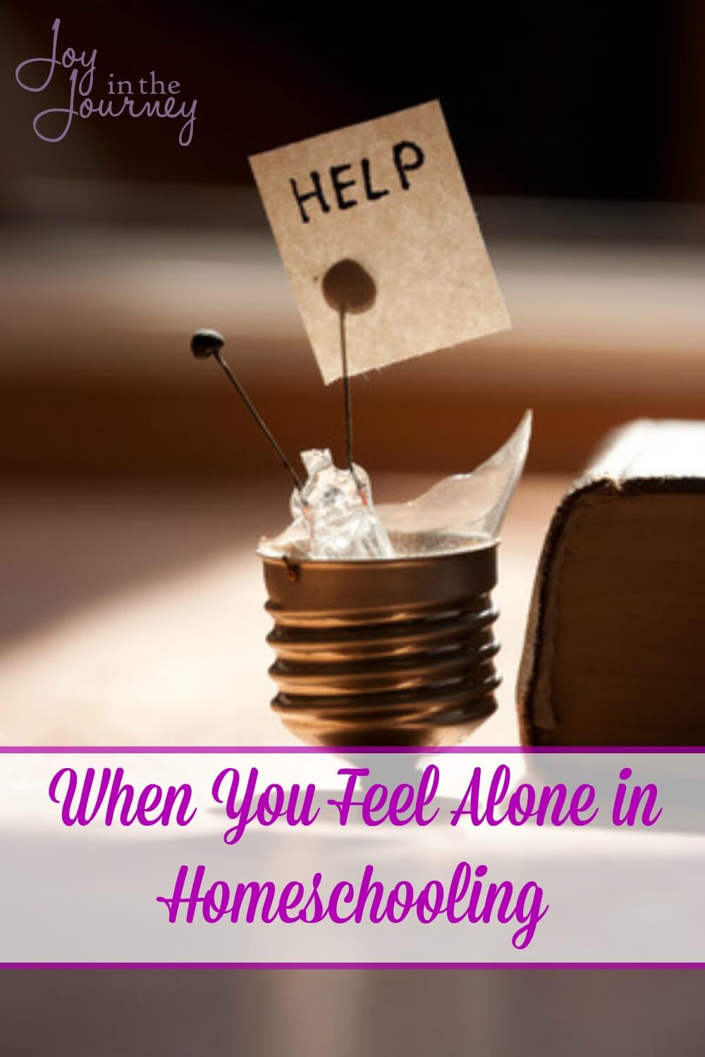 Do you ever feel alone in homeschooling? Today we are tackling the homeschool struggle known as lack of support. How can you overcome it? Where can you find a support system? And we are going to answer the question are you really alone?
