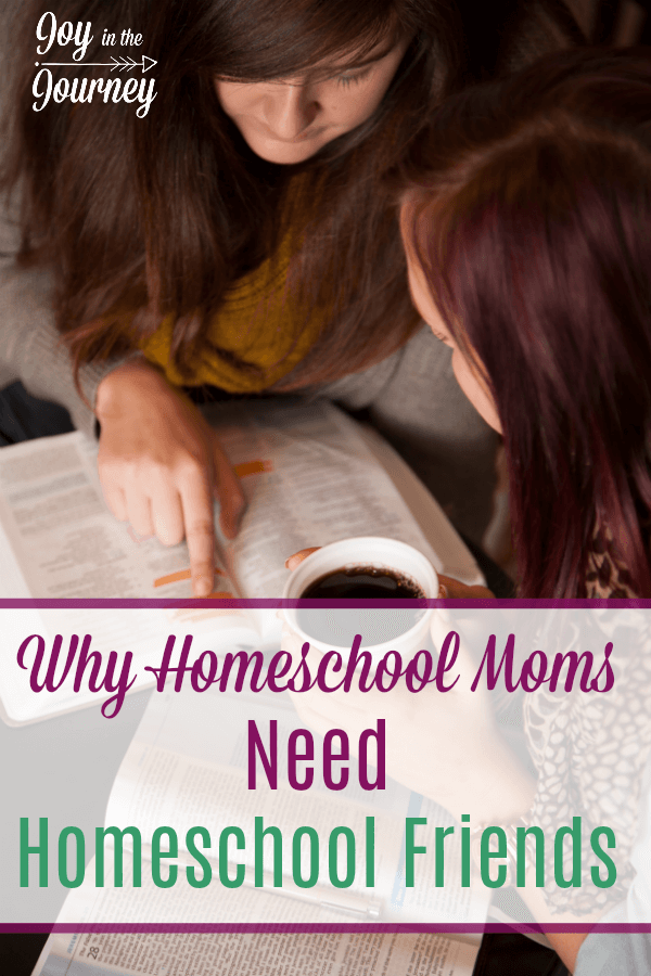 I have learned that many things are a part of making homeschooling successful. One of these is the importance of homeschool moms making friends with other homeschoolers.