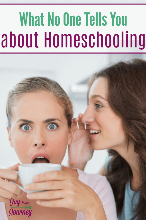 When I began homeschooling moms told me things I needed to know. However, there were other things that no one tells you about homeschooling that I wish they had told me.