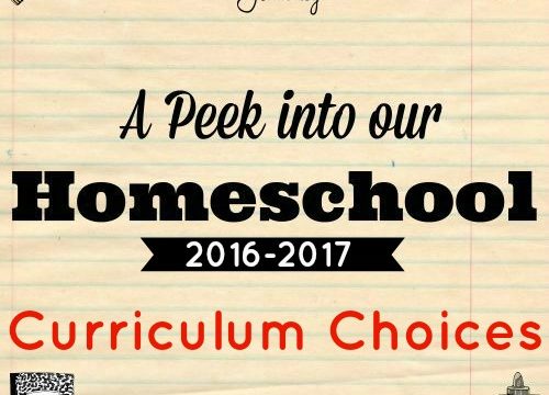 Our homeschool curriculum choices for 2016-2017. Curriculum for 6th, 4th and Kindergarten