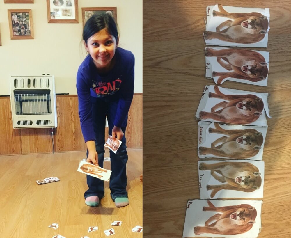 Our favorite projects from apologia science joy in the journey
