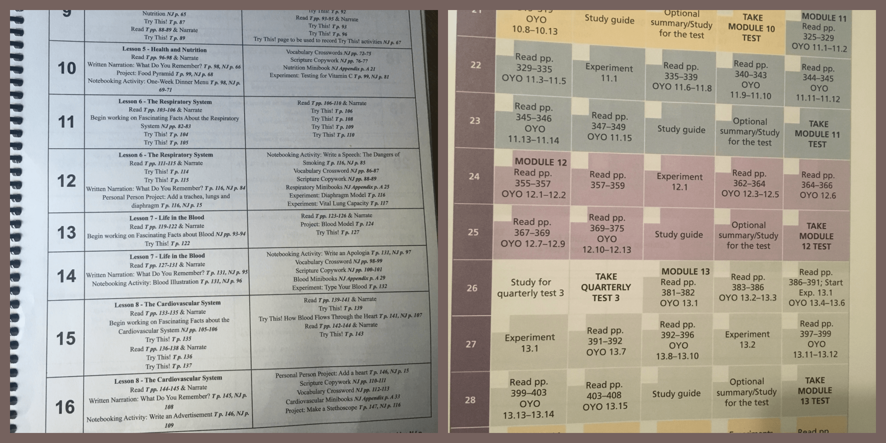 Scheduling lessons is a struggle for many homeschool families. However, Apologia science makes this super easy. Inside the notebooking journals, there is a daily Apologia science schedule laid out.