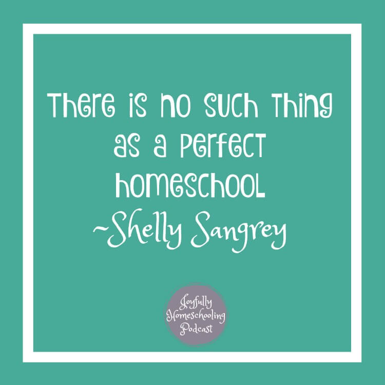 Struggle with perfection in your homeschool? Guess what? There is no such thing as a perfect homeschool. 