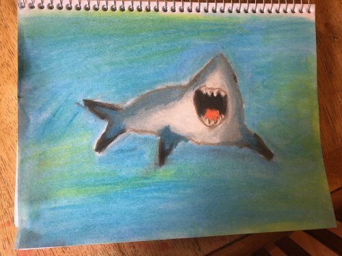 Shark drawing with Chalk Pastels for kids 