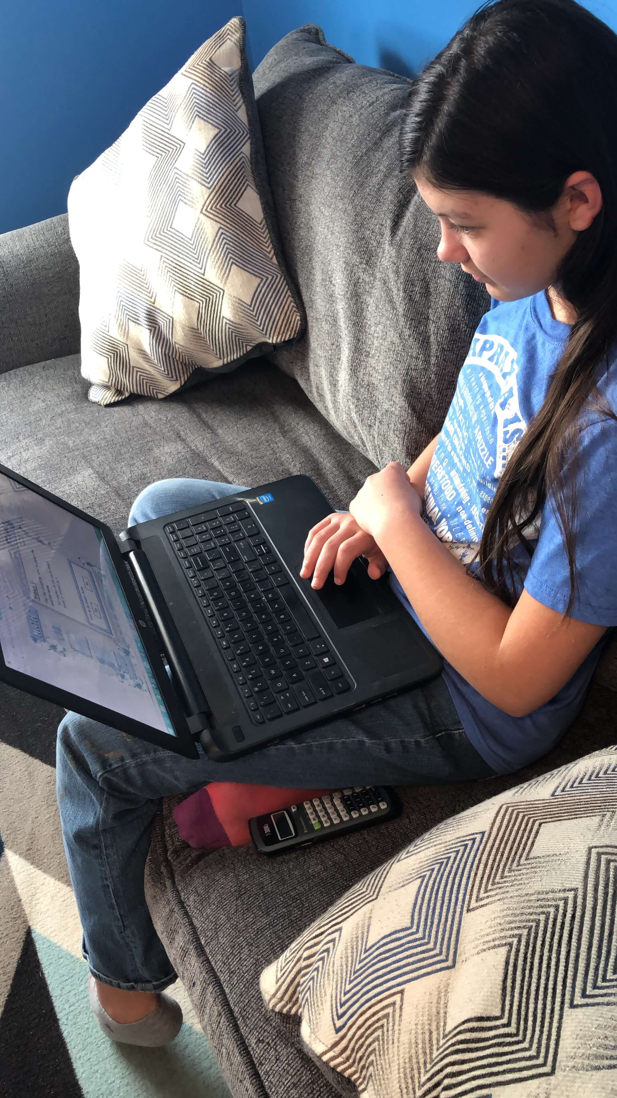 Online learning through Teaching Textbooks is the way to go for homeschool math! 