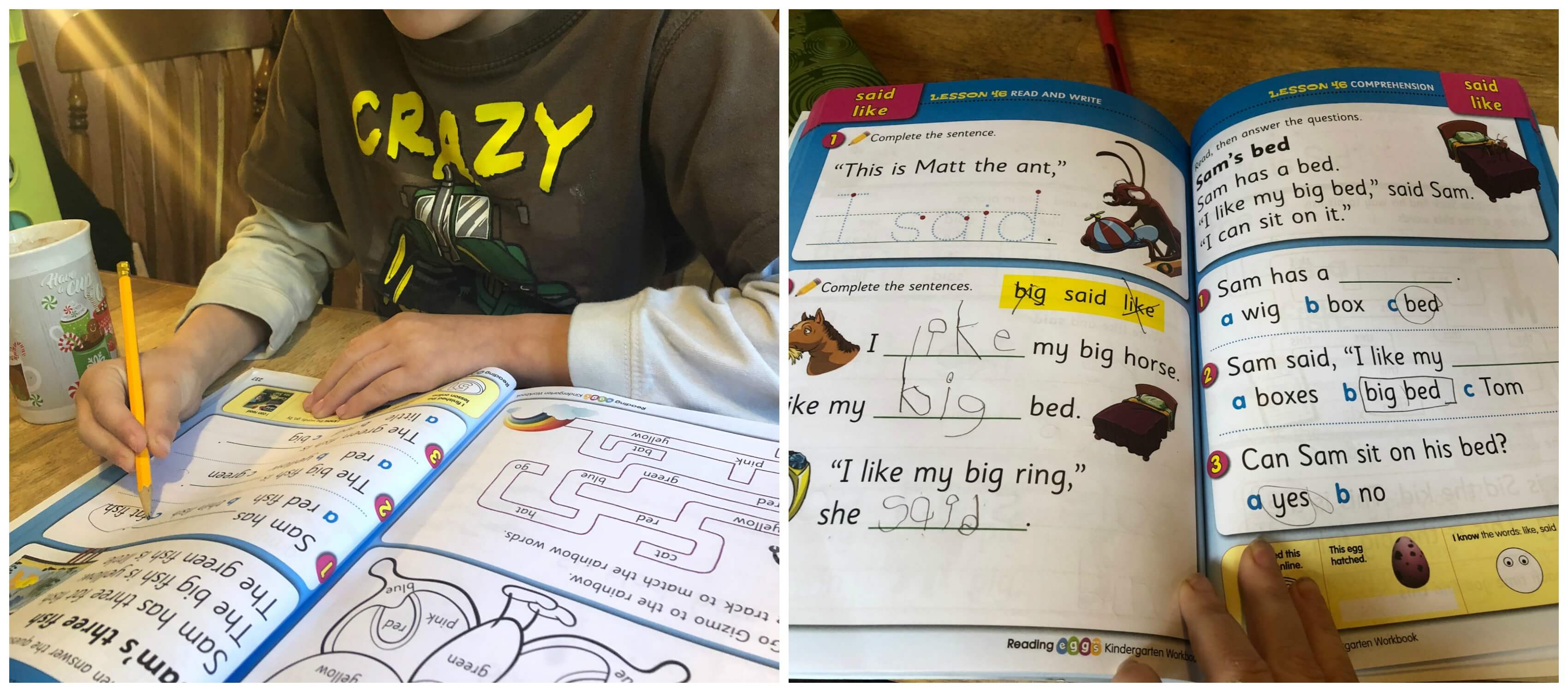 Reading Eggs workbooks extend online learning 