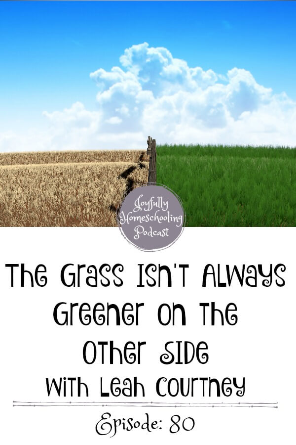 Has public school ever looked tempting? I am chatting with Leah Courtney today about the pros and cons of public school. The grass isn't always greener on the other side.