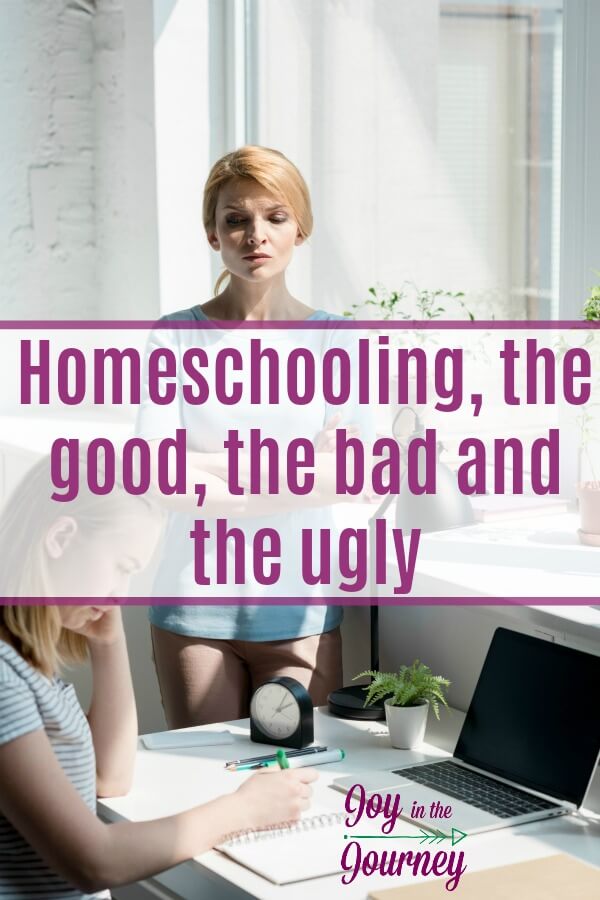 The biggest lesson I have learned is that homeschooling is not easy. There are good and bad things about homeschooling, just like with any form of education. It is a hard choice, and it is not for everyone.